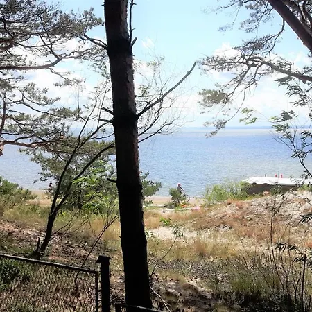 Alojamento de Turismo Selvagem Osrodek Czajka Rewita